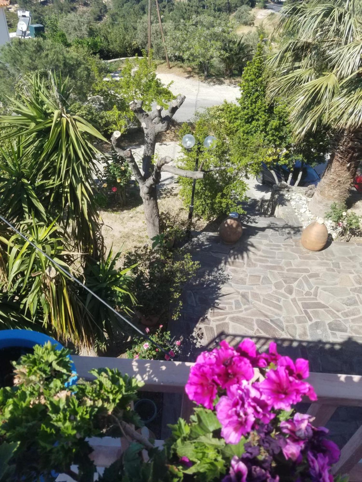Spitikariotiko Panoramic Home Raches  Quarto foto